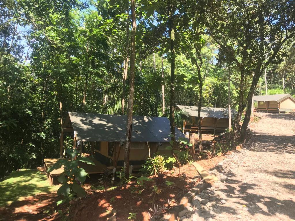 El Pulpo Safari Lodge Ojochal Kültér fotó