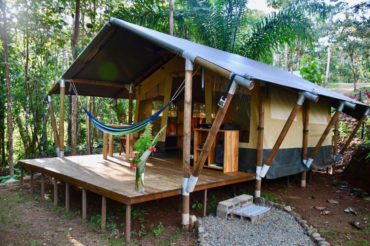 El Pulpo Safari Lodge Ojochal Kültér fotó
