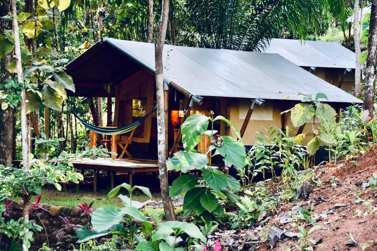 El Pulpo Safari Lodge Ojochal Kültér fotó